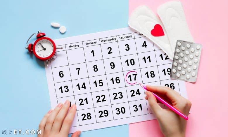 السحر-في-الأرقام:-اكتشفي-متى-يولد-طفلك-مع-حاسبة-الحمل؟