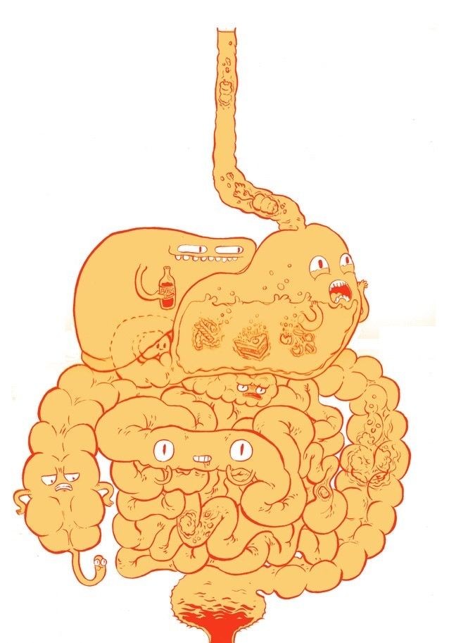 السالمونيلا-في-الدجاج:-المخاطر-الصحية-وطرق-الوقاية